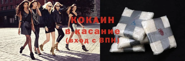 шишки Абинск