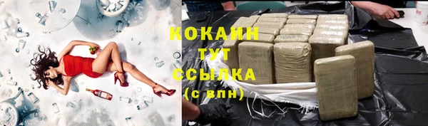 шишки Абинск