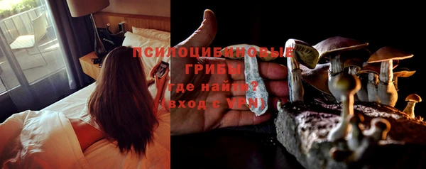 молекула духа Алзамай
