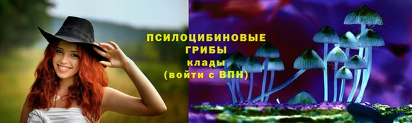 героин Алексин