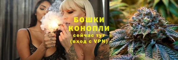 Альфа ПВП Новодвинск